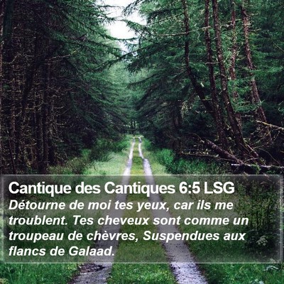 Cantique des Cantiques 6:5 LSG Bible Verse Image