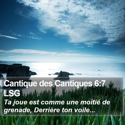 Cantique des Cantiques 6:7 LSG Bible Verse Image