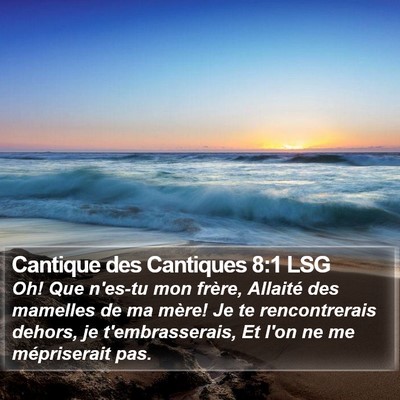 Cantique des Cantiques 8:1 LSG Bible Verse Image