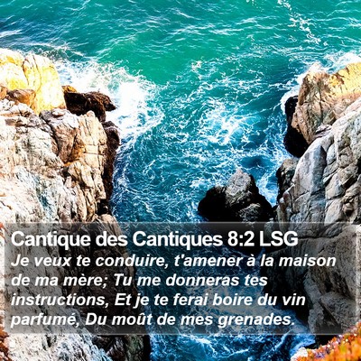 Cantique des Cantiques 8:2 LSG Bible Verse Image