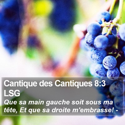 Cantique des Cantiques 8:3 LSG Bible Verse Image