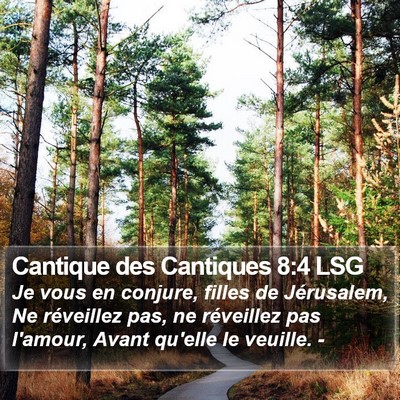 Cantique des Cantiques 8:4 LSG Bible Verse Image