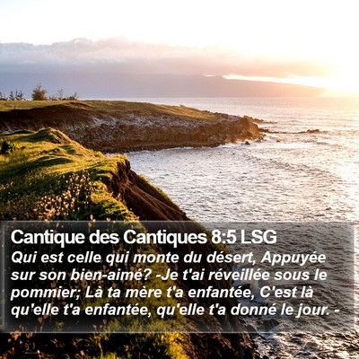 Cantique des Cantiques 8:5 LSG Bible Verse Image