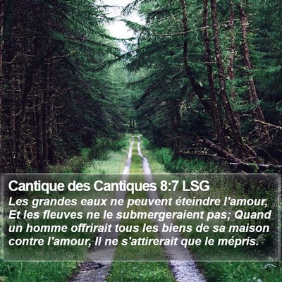 Cantique des Cantiques 8:7 LSG Bible Verse Image