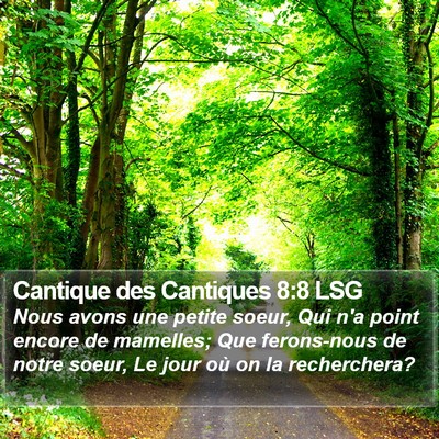 Cantique des Cantiques 8:8 LSG Bible Verse Image