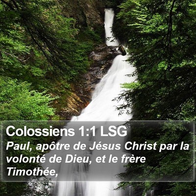 Colossiens 1:1 LSG Bible Verse Image