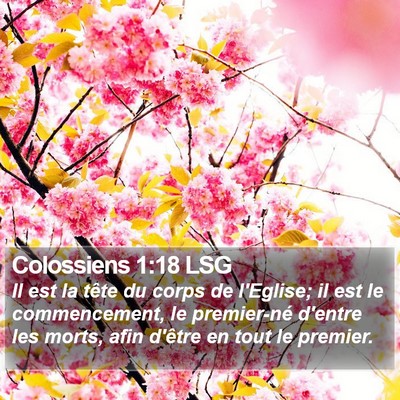 Colossiens 1:18 LSG Bible Verse Image