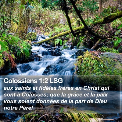 Colossiens 1:2 LSG Bible Verse Image