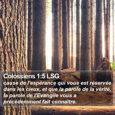 Colossiens 1:5 LSG Bible Verse Image