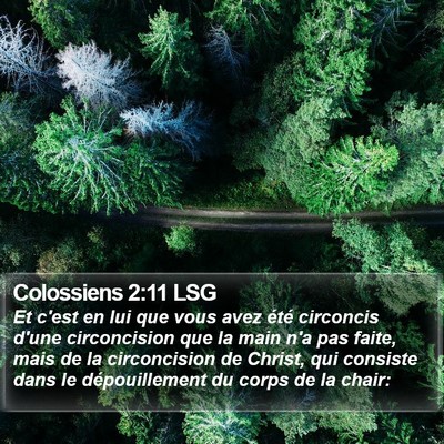 Colossiens 2:11 LSG Bible Verse Image