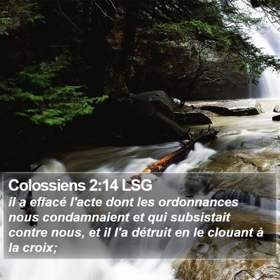 Colossiens 2:14 LSG Bible Verse Image