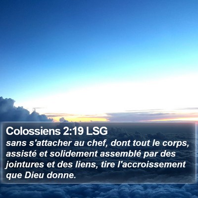 Colossiens 2:19 LSG Bible Verse Image