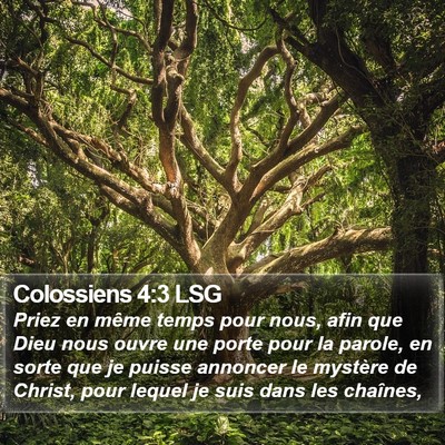 Colossiens 4:3 LSG Bible Verse Image