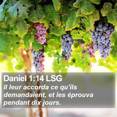 Daniel 1:14 LSG Bible Verse Image