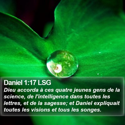 Daniel 1:17 LSG Bible Verse Image