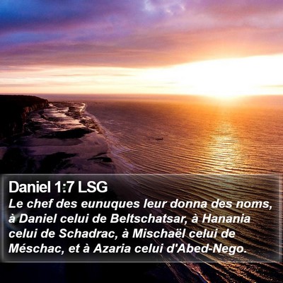 Daniel 1:7 LSG Bible Verse Image