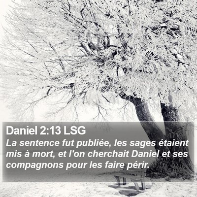 Daniel 2:13 LSG Bible Verse Image