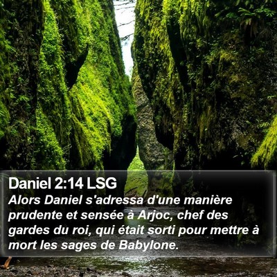 Daniel 2:14 LSG Bible Verse Image