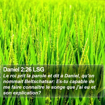 Daniel 2:26 LSG Bible Verse Image