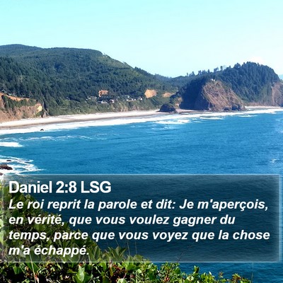 Daniel 2:8 LSG Bible Verse Image
