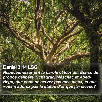 Daniel 3:14 LSG Bible Verse Image