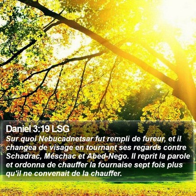 Daniel 3:19 LSG Bible Verse Image