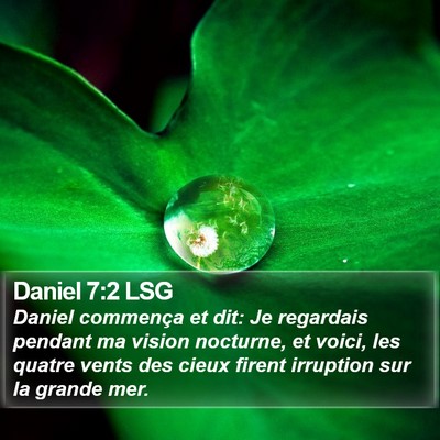 Daniel 7:2 LSG Bible Verse Image