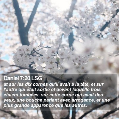 Daniel 7:20 LSG Bible Verse Image