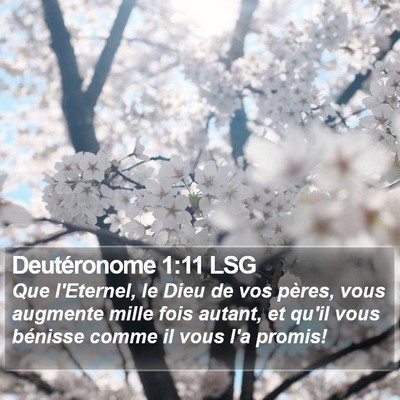 Deutéronome 1:11 LSG Bible Verse Image