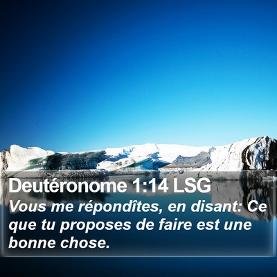 Deutéronome 1:14 LSG Bible Verse Image
