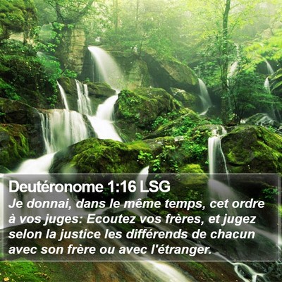 Deutéronome 1:16 LSG Bible Verse Image