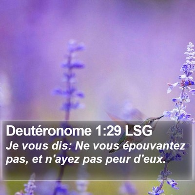 Deutéronome 1:29 LSG Bible Verse Image