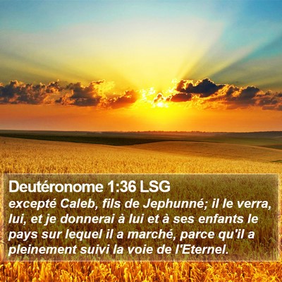 Deutéronome 1:36 LSG Bible Verse Image