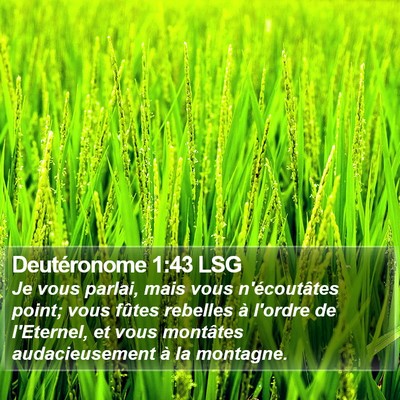 Deutéronome 1:43 LSG Bible Verse Image