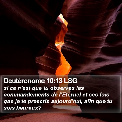 Deutéronome 10:13 LSG Bible Verse Image