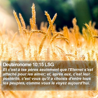 Deutéronome 10:15 LSG Bible Verse Image