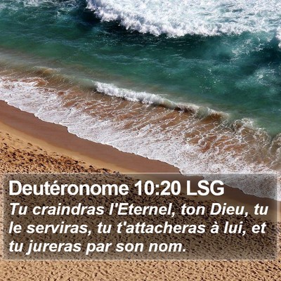 Deutéronome 10:20 LSG Bible Verse Image