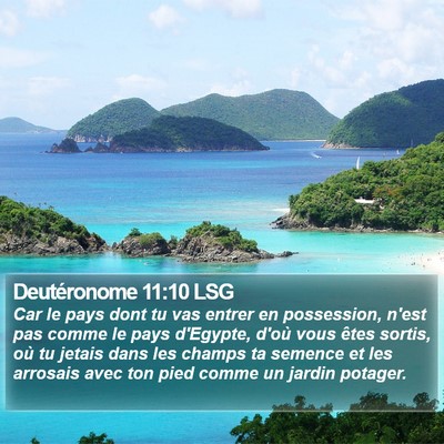 Deutéronome 11:10 LSG Bible Verse Image