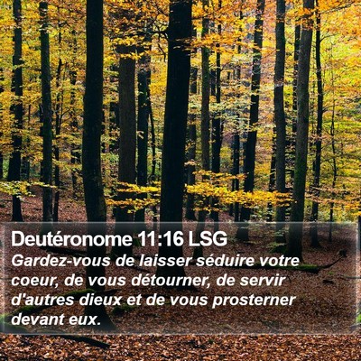 Deutéronome 11:16 LSG Bible Verse Image