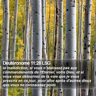 Deutéronome 11:28 LSG Bible Verse Image