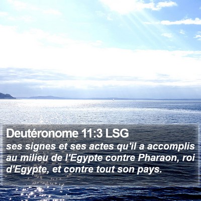 Deutéronome 11:3 LSG Bible Verse Image