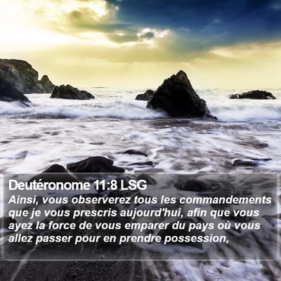 Deutéronome 11:8 LSG Bible Verse Image