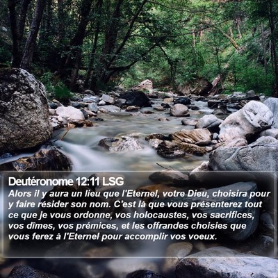 Deutéronome 12:11 LSG Bible Verse Image