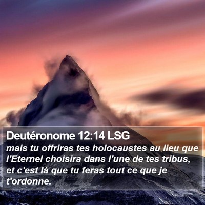 Deutéronome 12:14 LSG Bible Verse Image