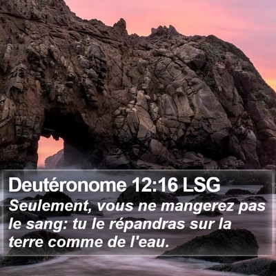 Deutéronome 12:16 LSG Bible Verse Image