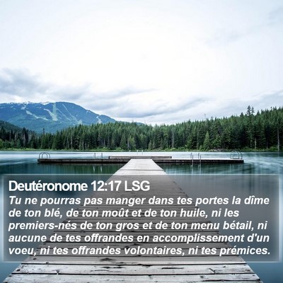 Deutéronome 12:17 LSG Bible Verse Image