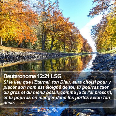 Deutéronome 12:21 LSG Bible Verse Image