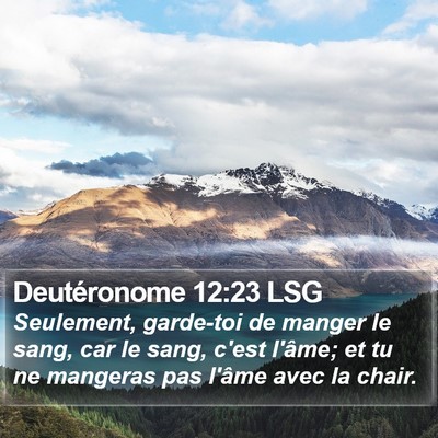 Deutéronome 12:23 LSG Bible Verse Image