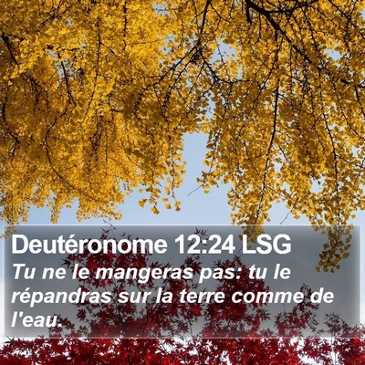 Deutéronome 12:24 LSG Bible Verse Image