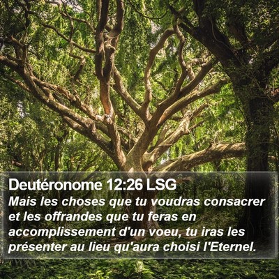 Deutéronome 12:26 LSG Bible Verse Image